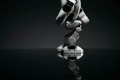 Casino Crypto Wild Aip Soghluaiste